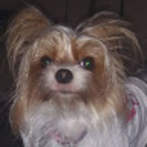 Meet your Posher, Heidi